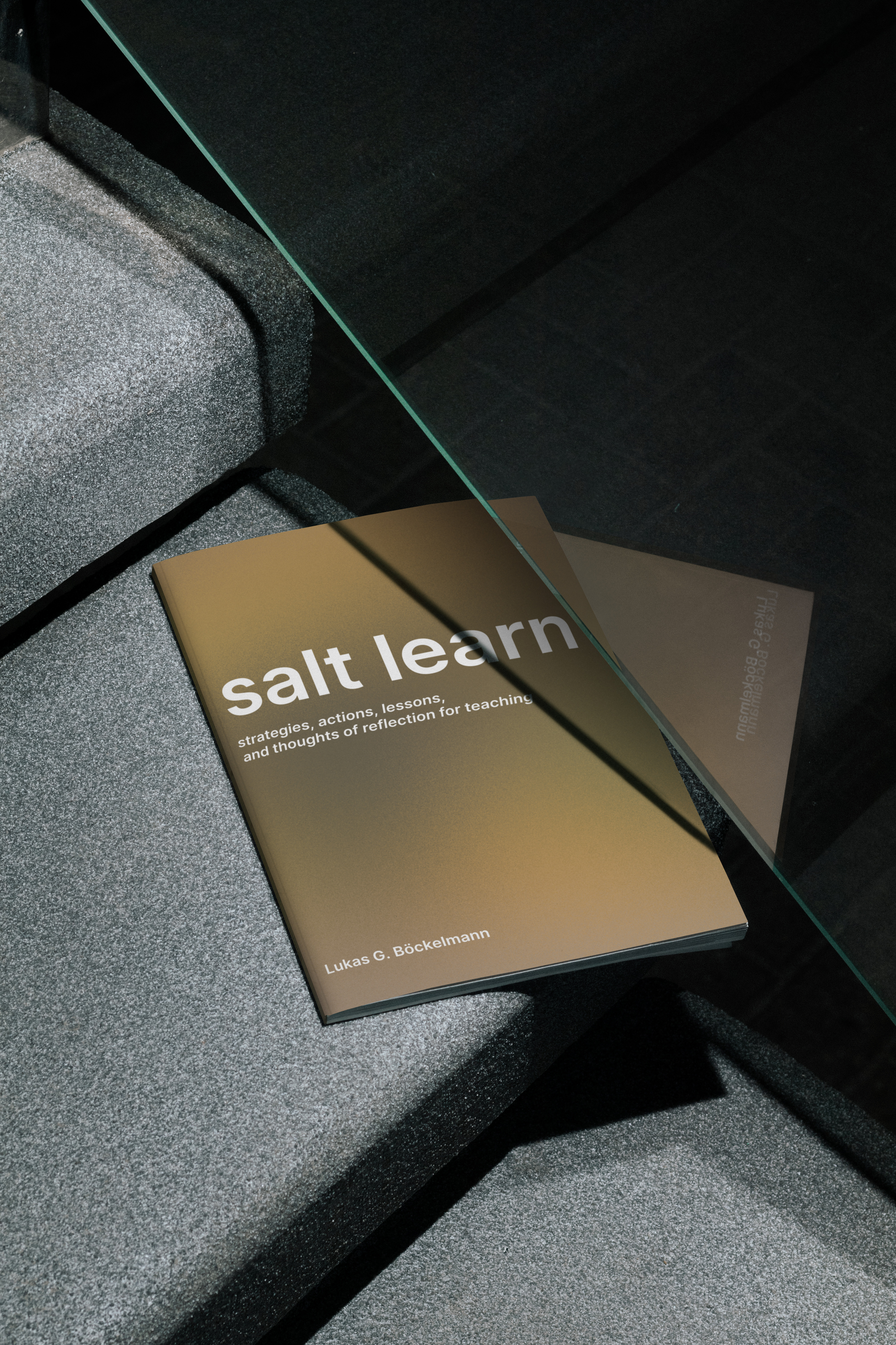 The salt salt learn print of the tutorial lying on the steps of a finly grained concrete staircase, with the cover slightly under a glass railing, reflecting the cover. Title, subtitle, as well as author are visible on the brown cover. The scene is characterized by high contrast lighting and dark shadows.
