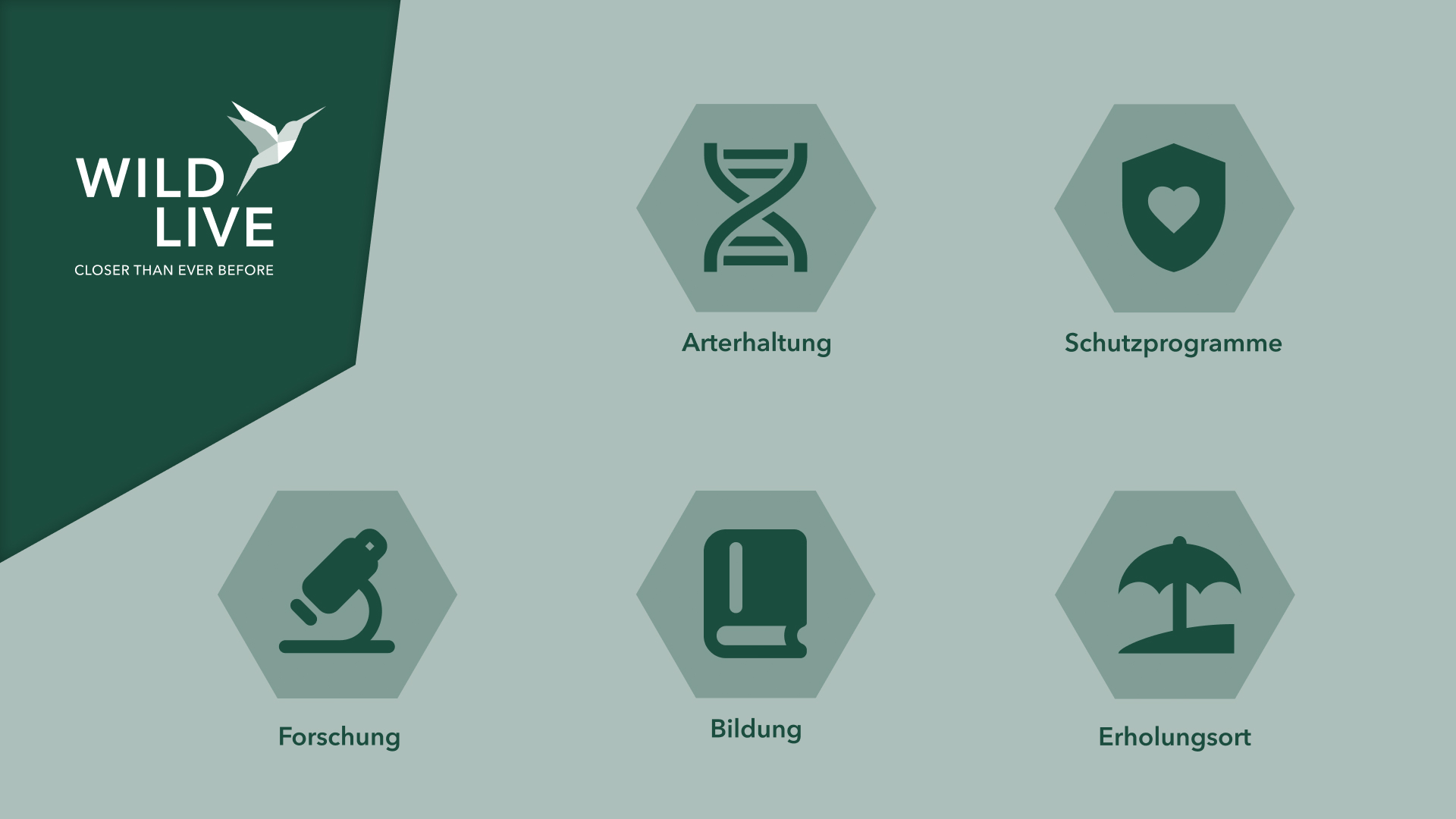 Kernaspekte von WildLive, Arterhaltung, Schutzprogramme, Forschung, Bildung, Erholungsort